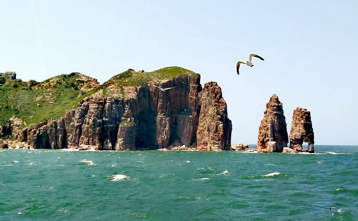 鸟岛拍摄于山东长岛