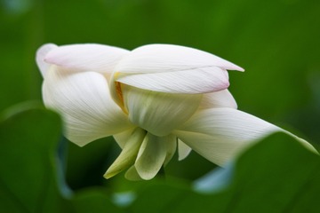 5722