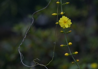 1306662