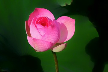780BBD26-D6AF-4ED1-A5D8-E67203B004EE/L0/001