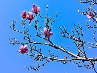 566B3F31-8E2B-4856-8F5A-4F5835D2B310/L0/001
