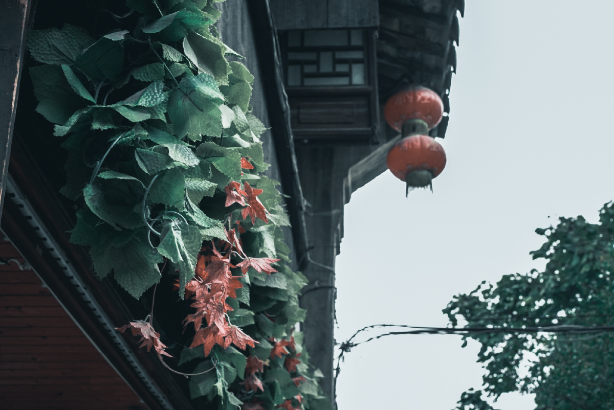 烟火气息浓厚的枫泾古镇