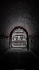 _1130833