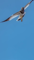 137510