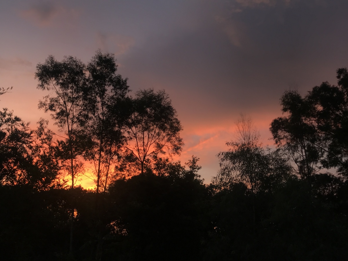 天气很热但傍晚点风和晚霞真的很温柔