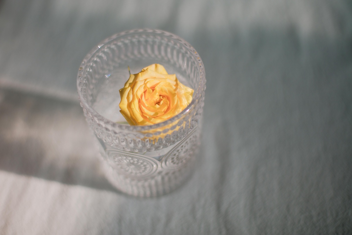 静物光影特写橘子玻璃杯