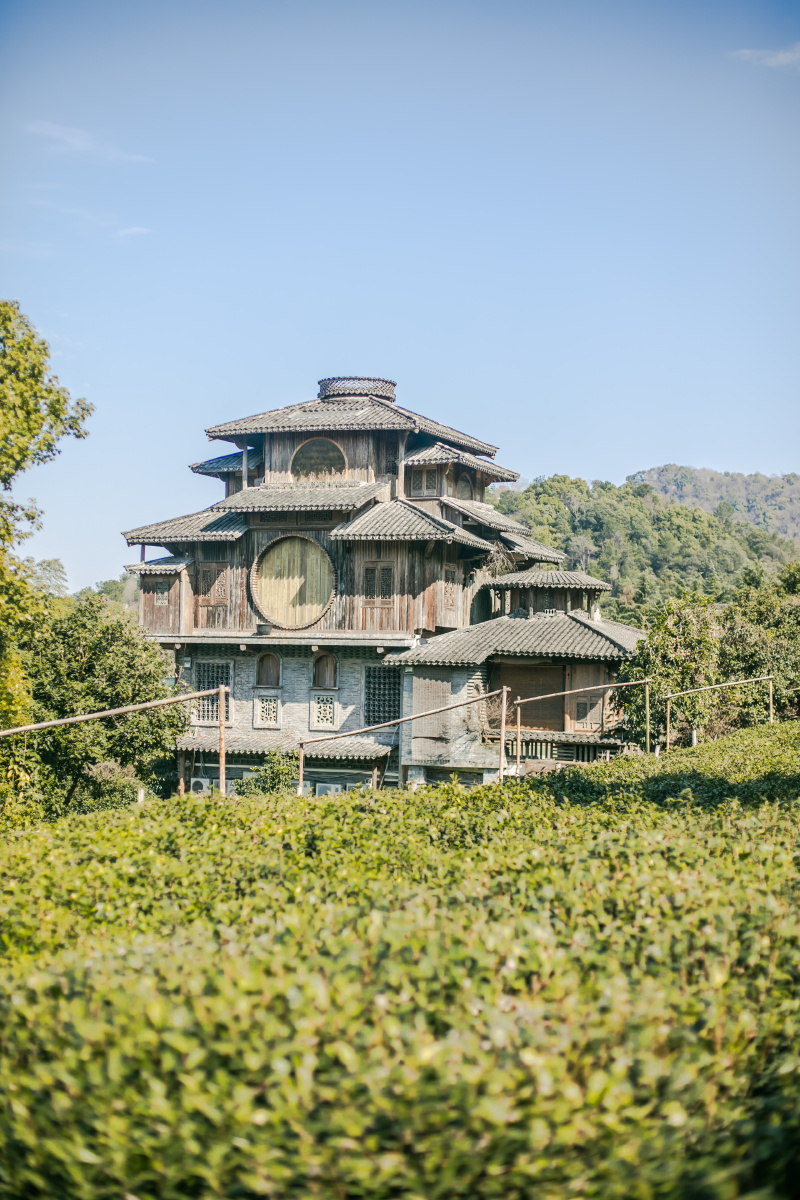 杭州满觉陇山顶秋千千与千寻木屋