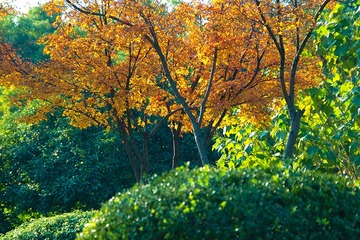 SDIM0022