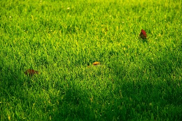 SDIM0037