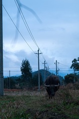 3420749