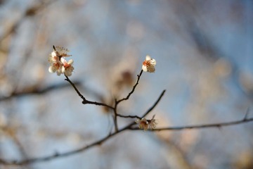 002