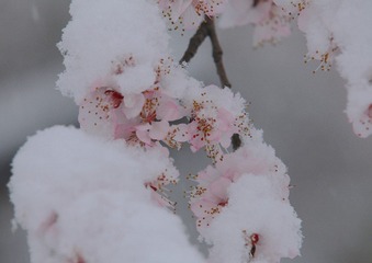 2F4C64C9-BD90-43D3-B927-0BC3CCDDBB56/L0/001