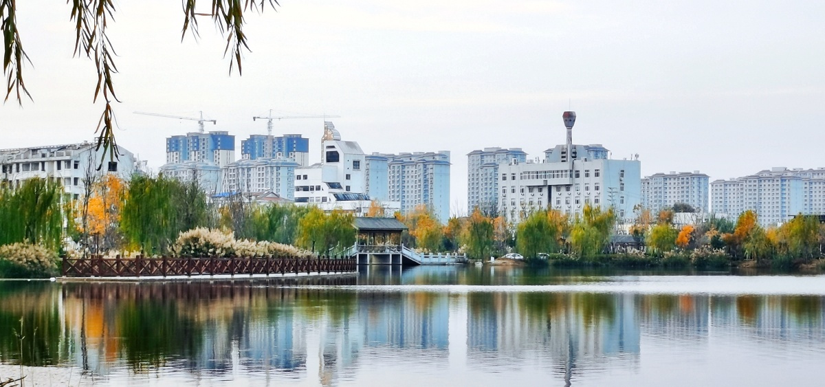 曹县伊尹公园初冬风光