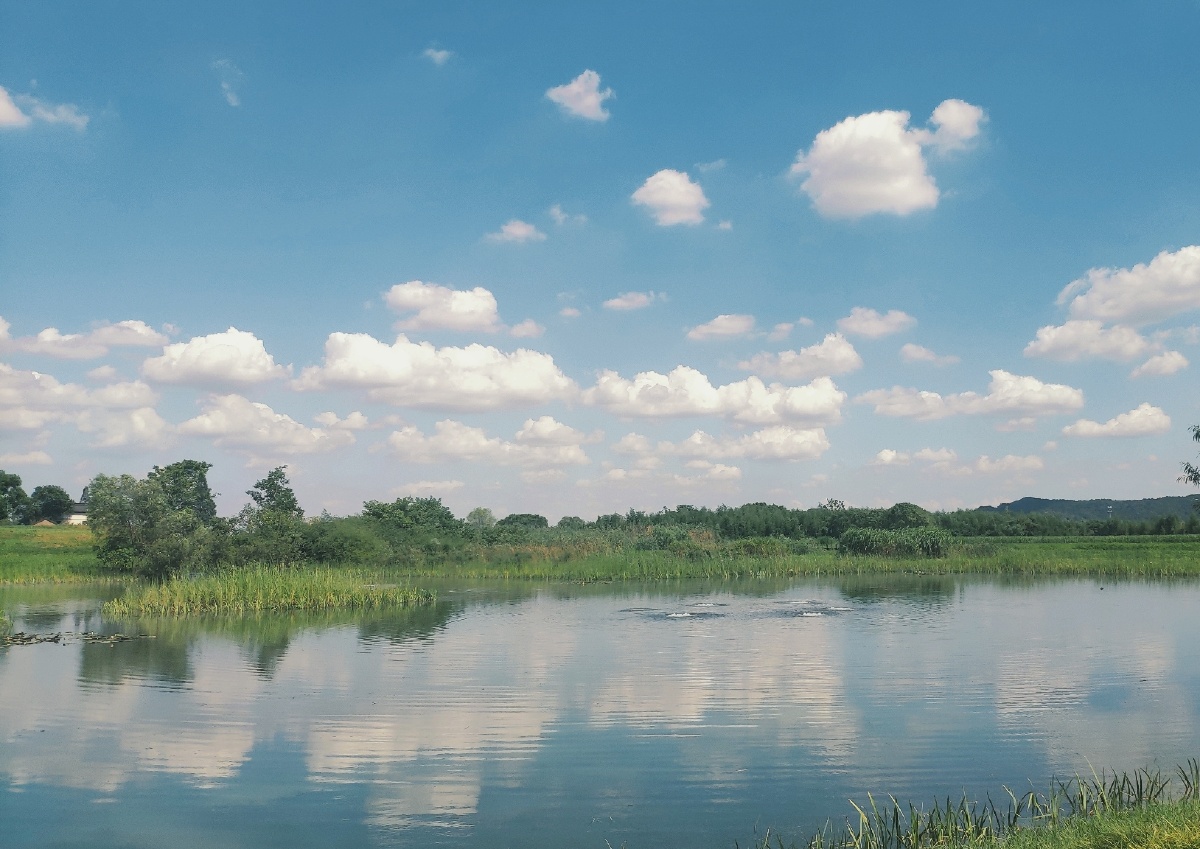 求求夏天凉快一点吧