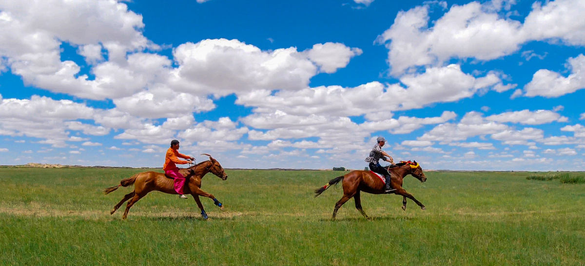 蒙古9799赛马 - a4340494944434445404340