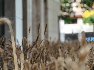 3C0E7A35-333B-4185-A52F-3F3C732AFD59/L0/001