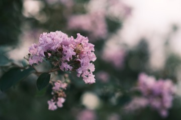 E195873F-CCF8-4C9B-942F-7CC65637F490/L0/001