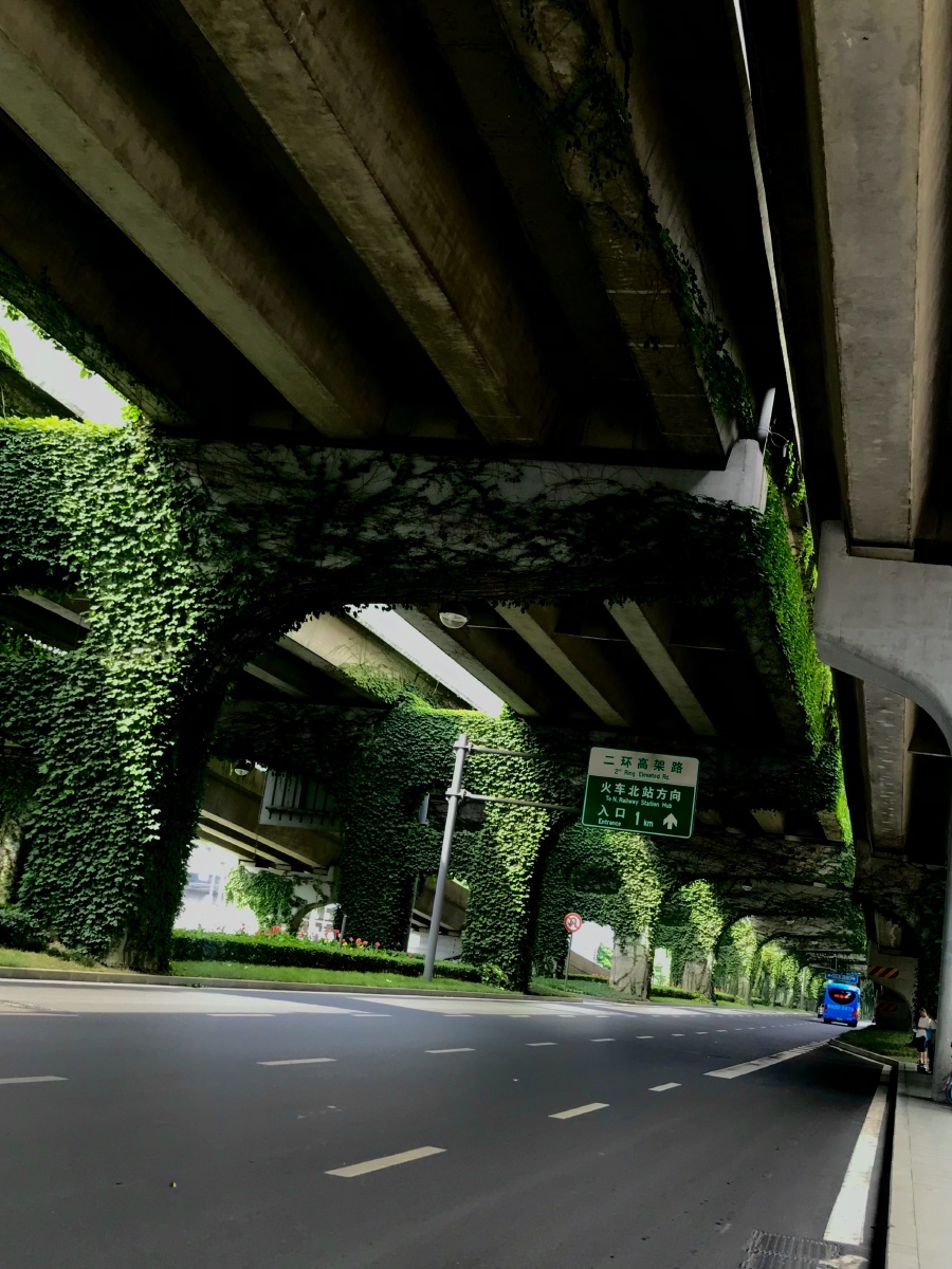 炎热的成都二环路清凉