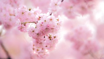 3E0E232D-E147-48F3-8F8C-99C5D234F94F/L0/001