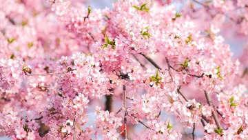B21BF0A5-17E2-443D-844F-1DDECC2C4009/L0/001