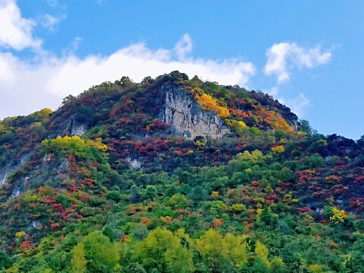 秋天的徽县稻坪村