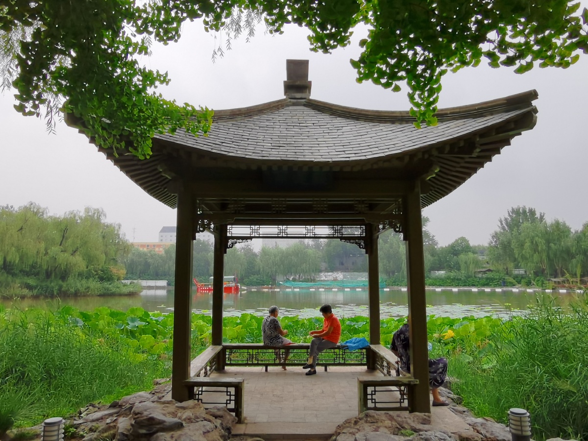 柳荫公园里的凉亭