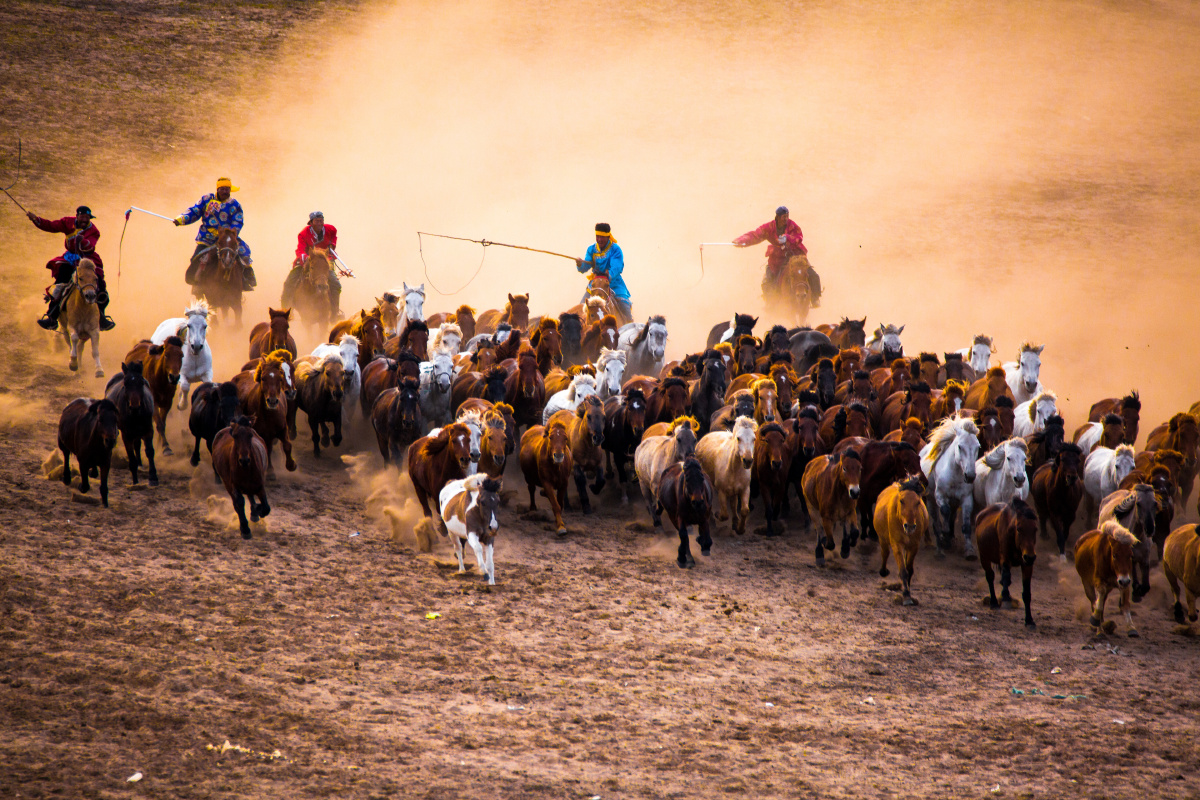适马晴典骏马奔腾hl105001适马镜头150600mm1563dg95