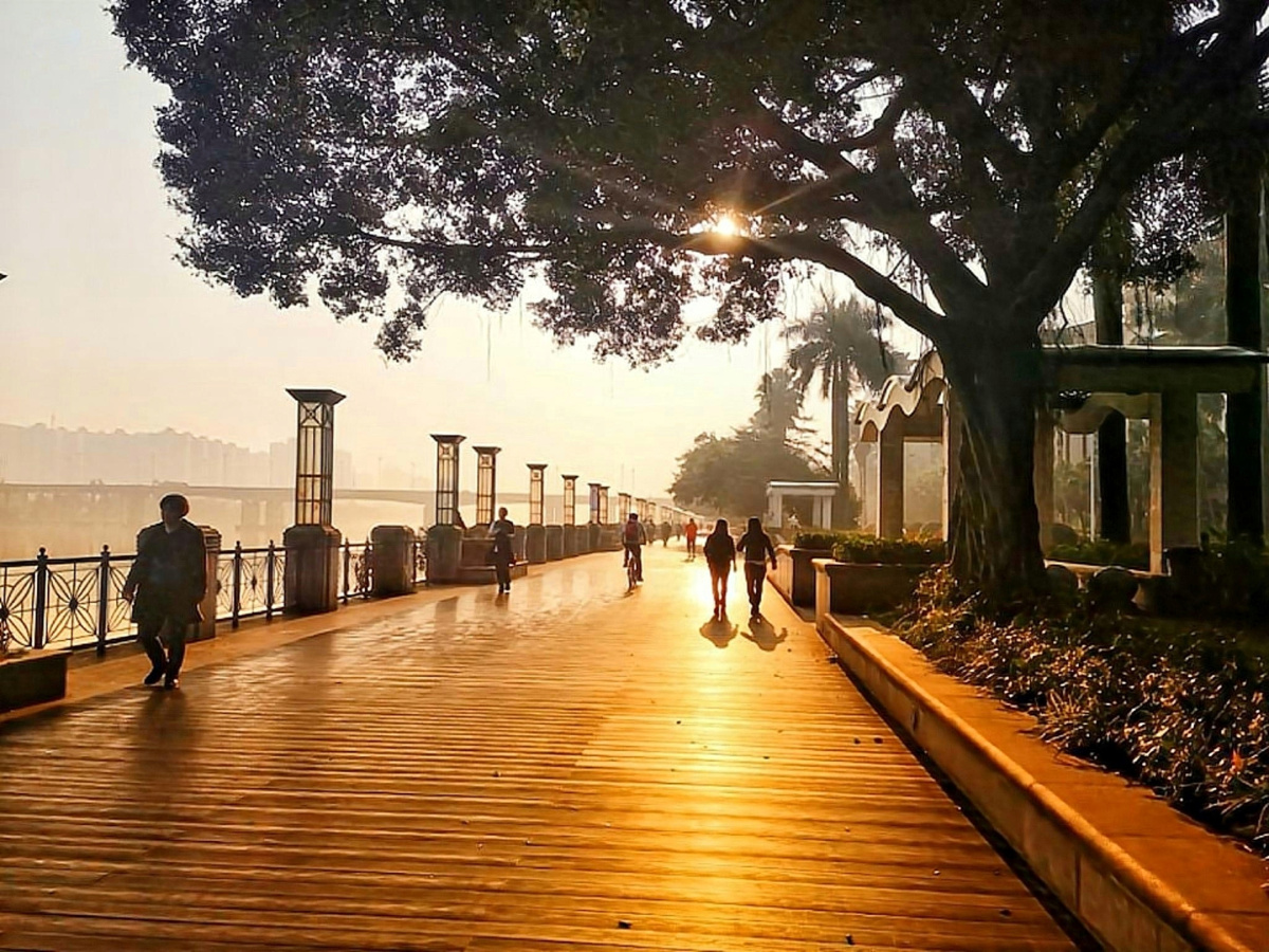 《金色木栈道》星河湾江边