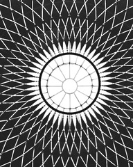 1000030231