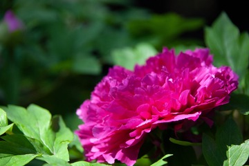 D02F3DF1-5CF1-414A-890C-520CA07BDFAF/L0/001
