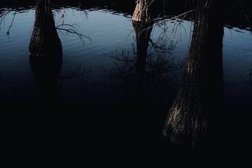 336597