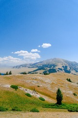 116473
