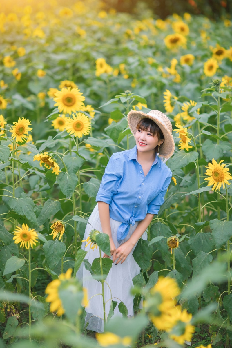 向日葵人像愿你能向日葵一样迎着阳光向上