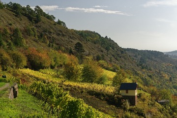 AR0A2156