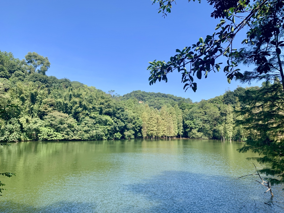 我心中最美的风景