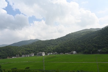 1906557