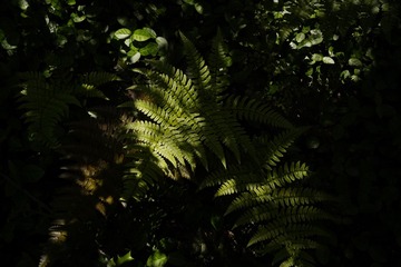 3F89050A-1609-4BB9-BED2-6F386B2D03E1/L0/001
