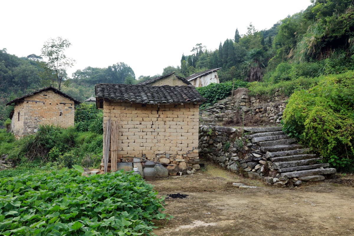 大同镇三山坳村