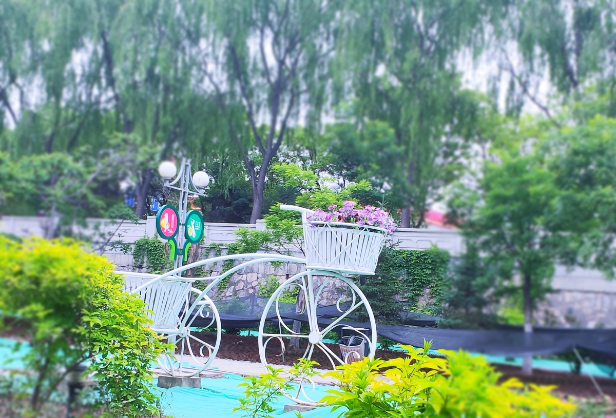 马滩湿地公园一角