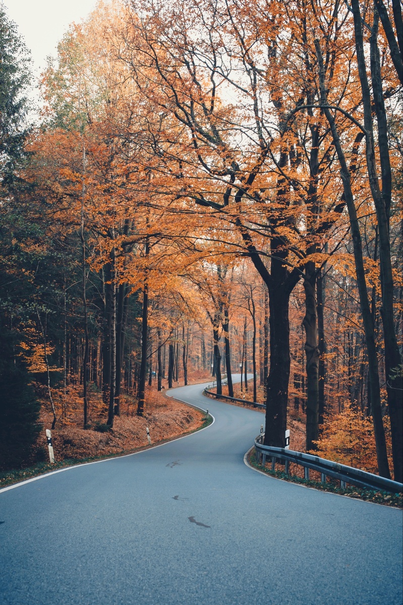 林中小路,有种似曾相识的感觉 - 风的季节ya - 图虫