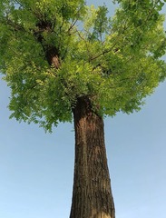 478273