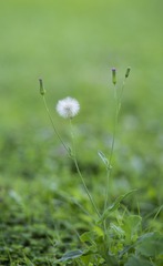 2015759