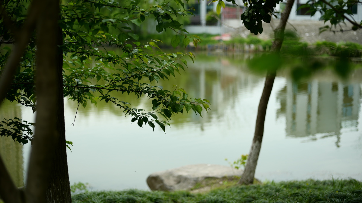 杭州皇国山市民公园