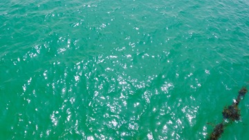 5D486B67-EB64-49BD-A9A4-635E0048FCF5/L0/001