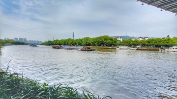 1000024664