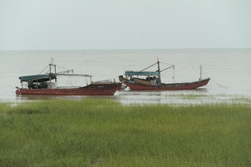 56803