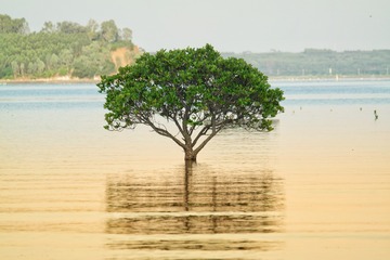 14214