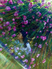 D720809A-B03F-417B-8B2E-4D373E030B59/L0/001