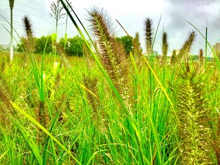 00A252E8-2AAC-4EFF-B895-44B84912A604/L0/001