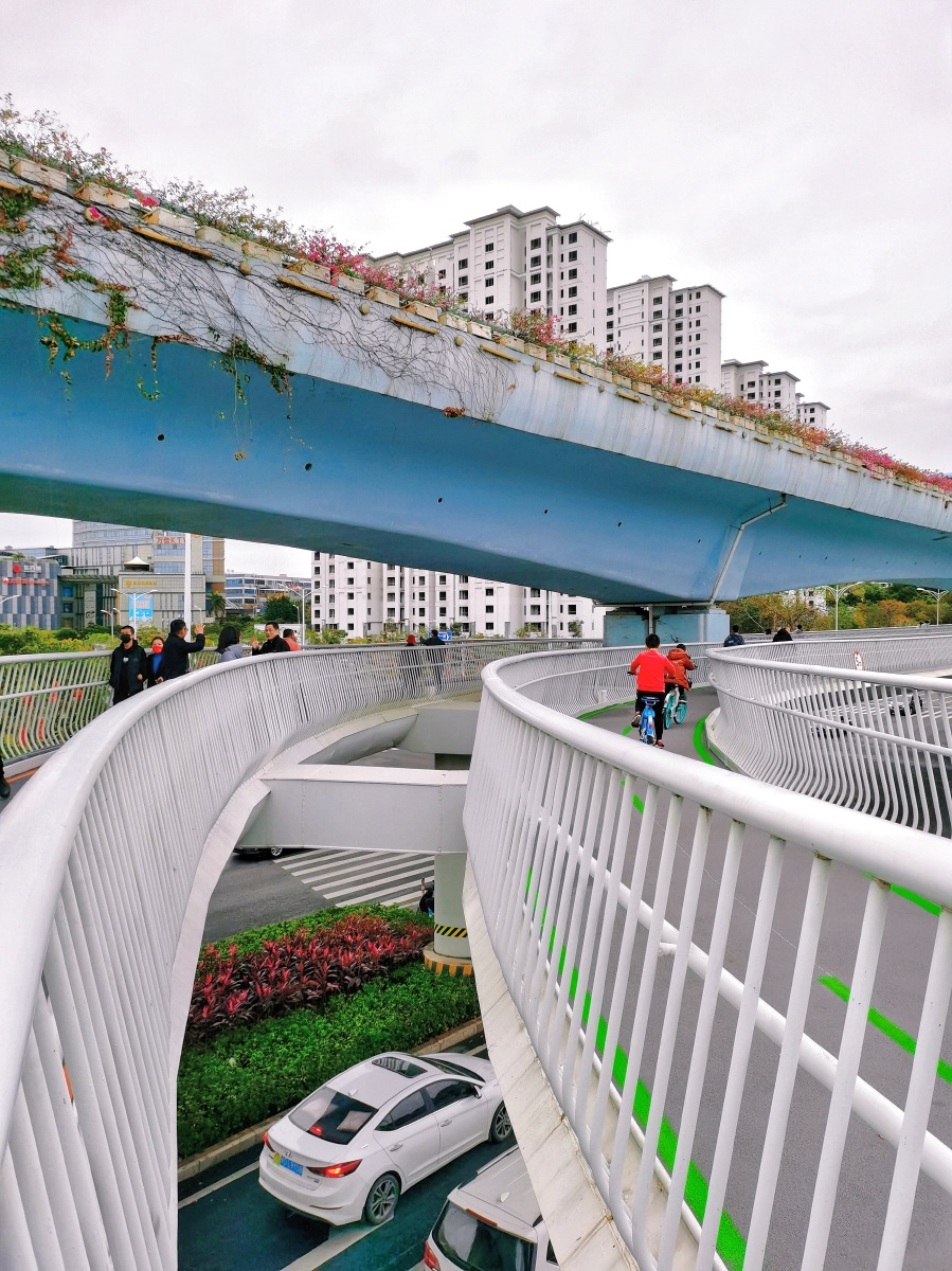 空中自行车道和高架桥 - 听海船长159253378443888 - 图虫